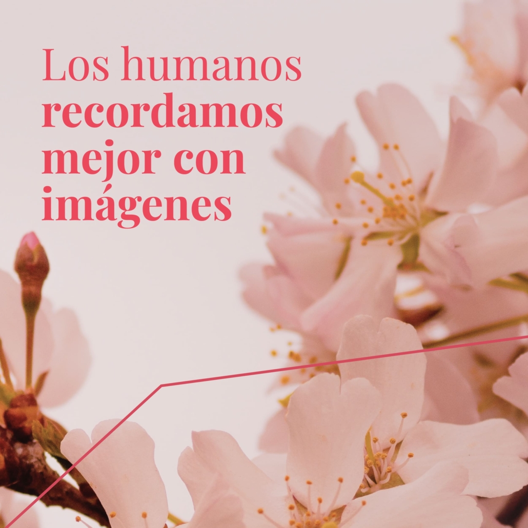 Imagen de flores suaves en tonos rosados con la frase 'Los humanos recordamos mejor con imágenes'. El mensaje resalta el poder de las imágenes en la memoria y su capacidad para mejorar la retención de información, subrayando la importancia de la comunicación visual efectiva