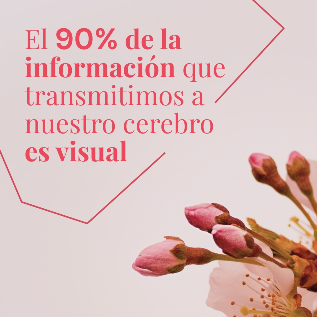 Imagen de capullos de flores rosados en primer plano con la frase 'El 90% de la información que transmitimos a nuestro cerebro es visual'. El mensaje destaca la importancia del contenido visual en la forma en que el cerebro procesa la información, subrayando el poder del lenguaje visual en la comunicación y el marketing