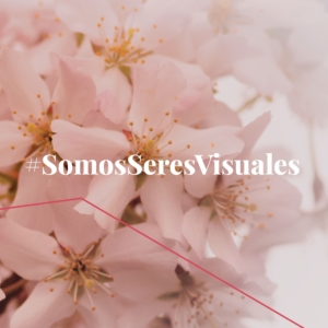 Imagen de flores suaves en tonos rosados con la frase '#SomosSeresVisuales' en el centro. El mensaje destaca la importancia de la comunicación visual, apelando a la capacidad humana de procesar y ser influenciados por imágenes y estímulos visuales en nuestra percepción del mundo